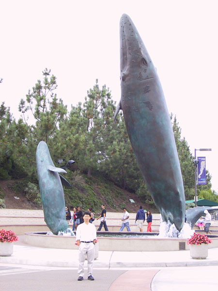 Whale sculpture fountain