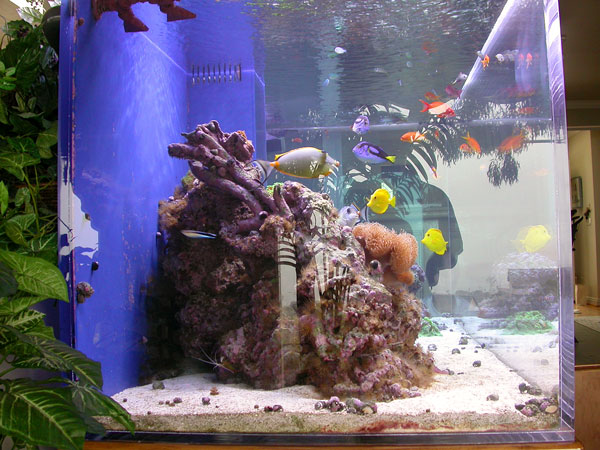 View from left side of tank