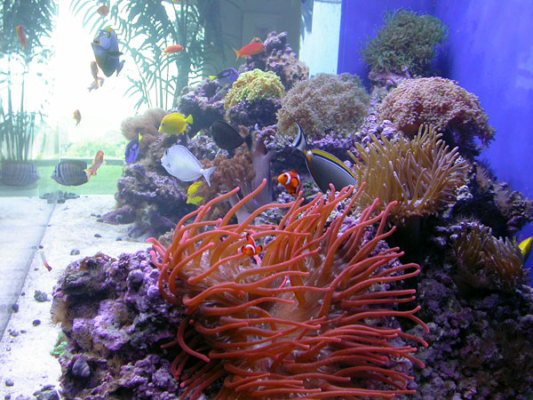 View from right side of tank